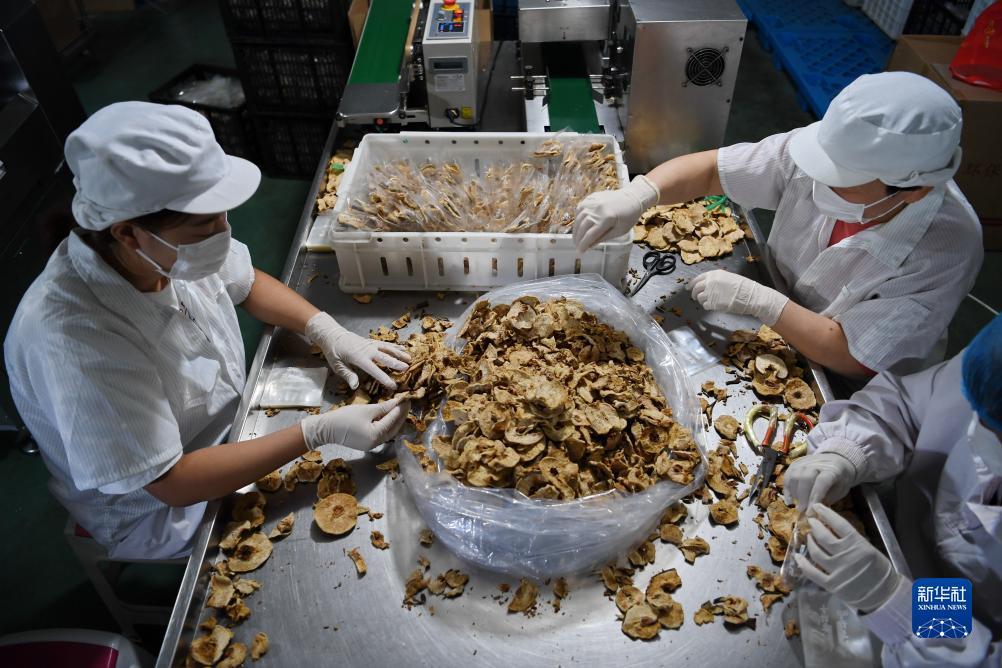 vg棋牌娱乐